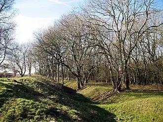 Cadbury Camp, a small multivalate hillfort on Cadbury Hill