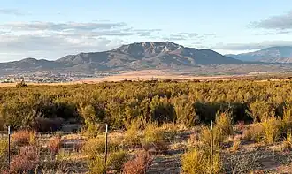 Montane chaparral in Anza Valley