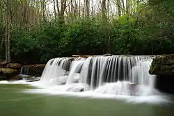 A waterfall along a rushing stream surrounded by forest on either side.