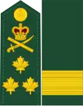 Dress uniform tunic - shoulder and sleeve