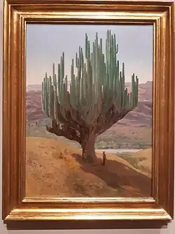 Cardon cactus, 1887