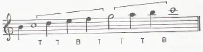In this and all subsequent staves, the tonic is indicated by a whole note and the dominant by a half note. T stands for tanini (tone) which is equal to 9 commas and B stands for bakiye which is equal to 4 commas.