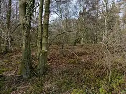 Castle Dyke moated site