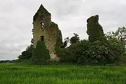 Castle near Kilfinny