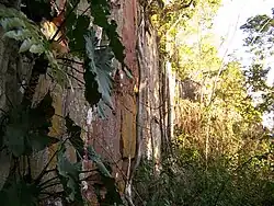 Cerro Muralla or "Wall Hill" is a hill in Amambay on Cerro Cora national park that resembles a wall, 2008