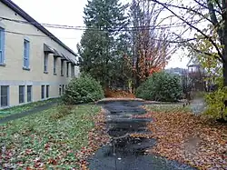 A driveway in a garden alongside a building. The path is partially covered with fallen leaves.