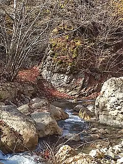 The upper reaches of the river in the south of the Khanagah village