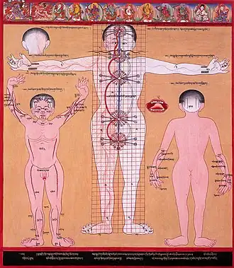A Tibetan illustration of the subtle body showing the central channel, two side channels, and five chakras