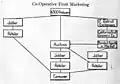 Channels of distribution, Co-Operative Fruit Marketing, 1915