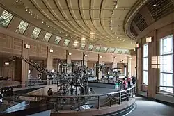 Dinosaur Hall