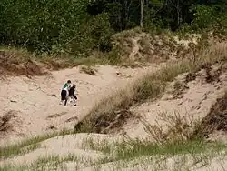 Indiana Dunes State Park