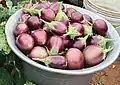 Closeup of freshly harvested Vellore Spiny Brinjal