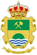 Coat of arms of Rionansa
