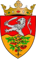 Coat of arms of Anenii Noi
