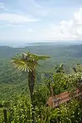 View from El Yunque