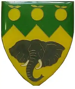 Clanwilliam Commando Emblem