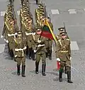 The honor guard company during the 2007 Bastille Day Parade.