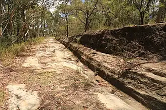 Convict-built road, Mount McQuoid, Great North Road, Bucketty, NSW.