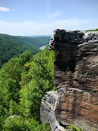 Cooper's Rock State Forest