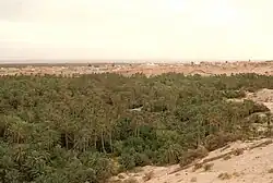 The original oasis of Nefta is known as "the basket" as it is located down the hills