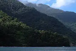 Tropical rainforest climate in Paria Peninsula