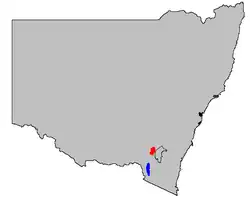 Corooboree Frog range
