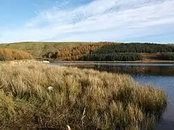 Looking towards the Neilston Pad from Craighall Reservoir