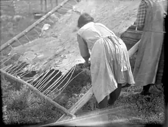 Cree women working on a large moose hide, Waterhen River area, Northern Saskatchewan