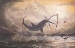 Cretoxyrhina, one of the largest Cretaceous sharks, attacking a Pteranodon in the Western Interior Seaway