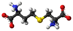 Ball-and-stick model of the cystathionine molecule as a zwitterion