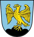 Coat of arms of Falkenstein