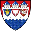 Coat of Arms of Steinburg