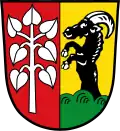 Coat of arms of Schwifting
