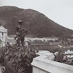 A statue of a soldier in a metal helmet with a circular rim, holding a rifle with a bayonet. The statue is positioned on a plinth hidden by bushes and is facing outwards over a wall. A hill is shown in the background.