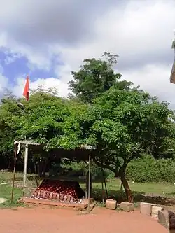 Dargah at Sathyagala