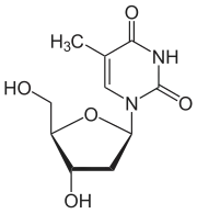 Chemical structure of thymidine