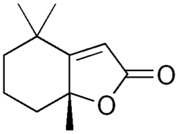 Skeletal formula of dihydroactinidiolide