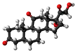 Ball-and-stick model of the dihydrocortisone molecule