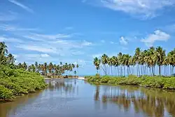 Beach in Japaratinga