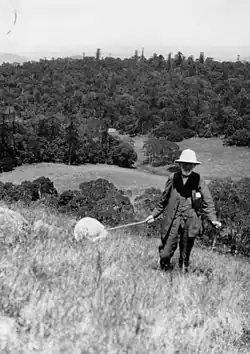 Alred jefferies Turner Bunya mountains 1925