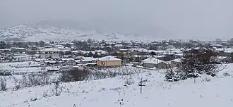 Dolichi under snowfall