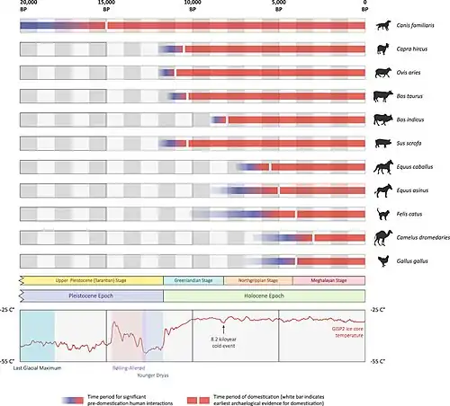 Rough timelines of domestication for 11 animal species[25][a]