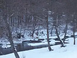 Upper course in winter, Bulgaria