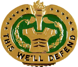 Drill Sergeant Identification Badge