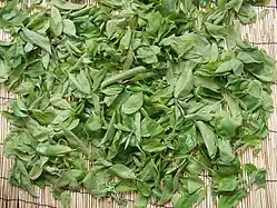 Drying persimmon leaves for persimmon leaf tea