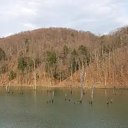 Thumbnail image of Dunkard Fork Lake