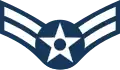 A1C insignia