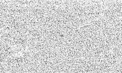 Grainy, white-on-black image showing Halley as a barely distinguishable black dot