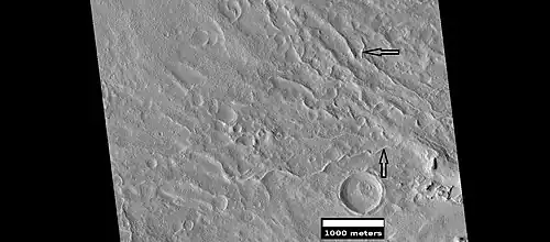 Inverted stream channels on crater slope, as seen by HiRISE under HiWish program Location is Diacria quadrangle.