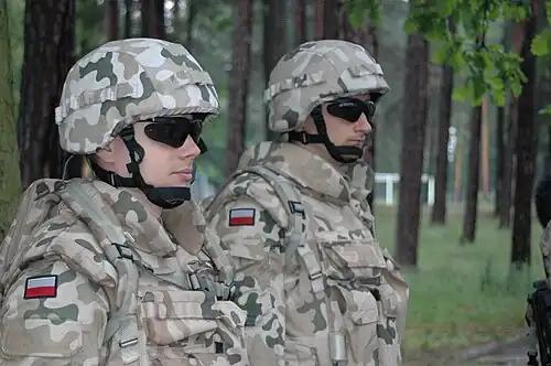 The wz. 2000 helmets in cloth cover in desert version of wz. 93 Pantera, 2005.